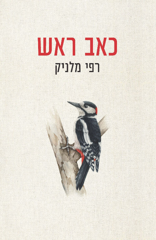כאב ראש