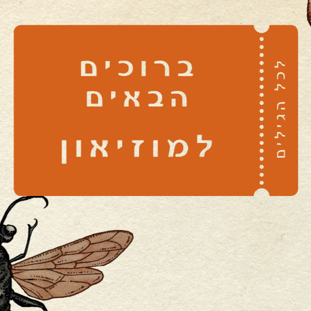 מוזיאונים